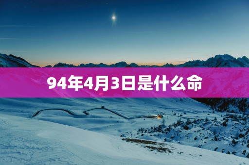 94年4月3日是什么命