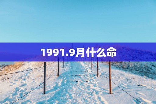 1991.9月什么命