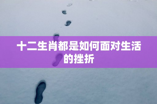 十二生肖都是如何面对生活的挫折