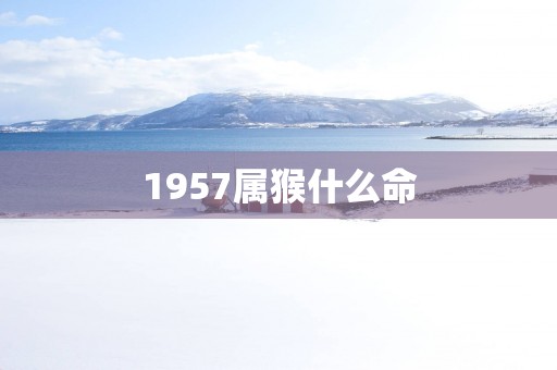 1957属猴什么命