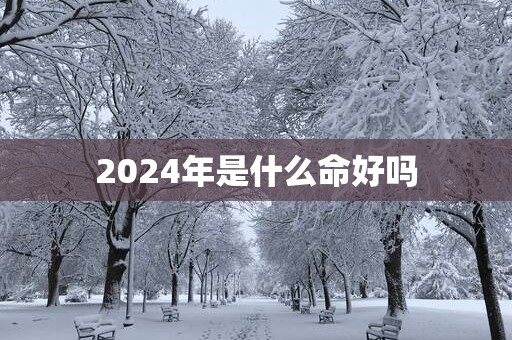 2025年是什么命好吗