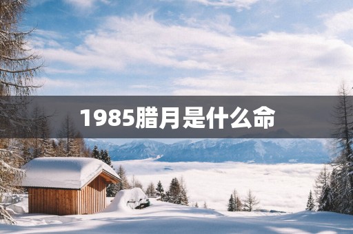 1985腊月是什么命