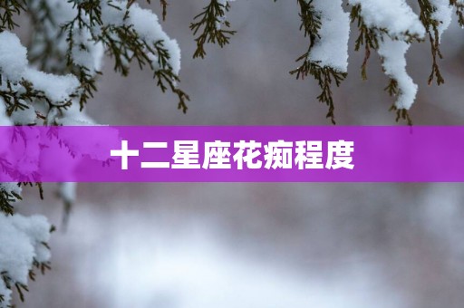 十二星座花痴程度