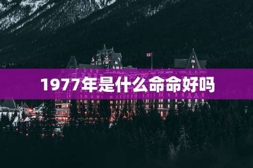 1977年是什么命命好吗