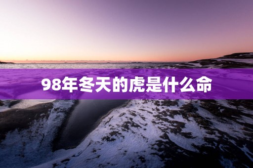 98年冬天的虎是什么命