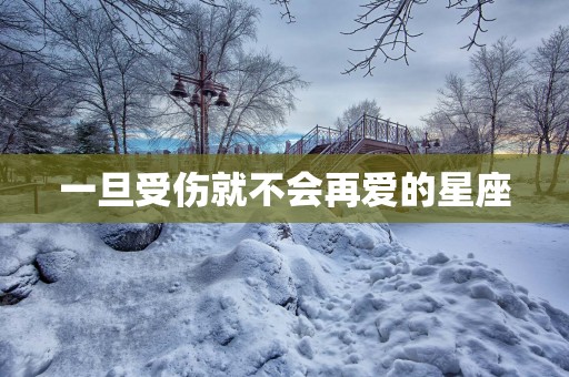 一旦受伤就不会再爱的星座
