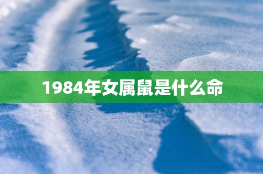 1984年女属鼠是什么命