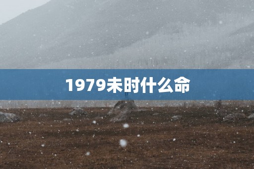 1979未时什么命