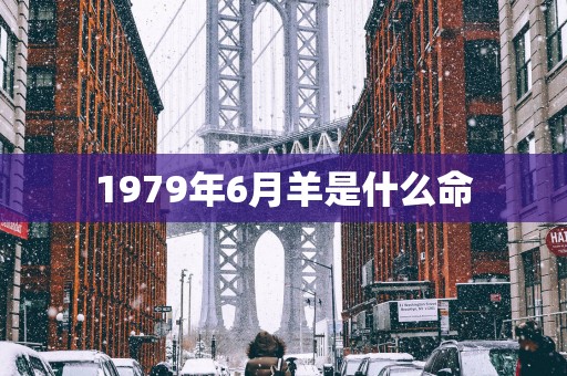 1979年6月羊是什么命