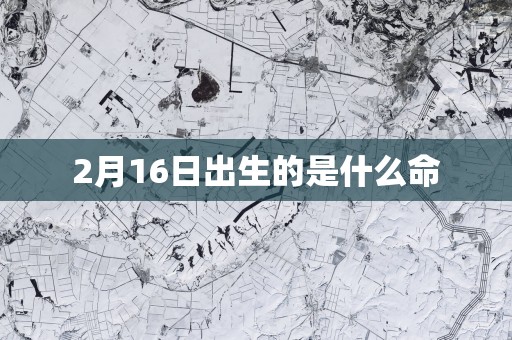 2月16日出生的是什么命