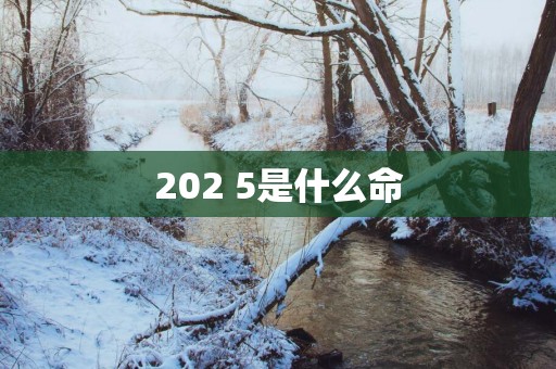 202 5是什么命