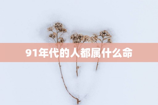 91年代的人都属什么命