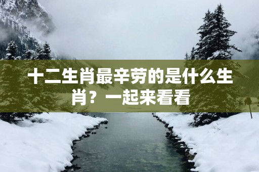 十二生肖最辛劳的是什么生肖？一起来看看