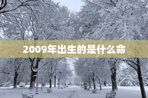 2009年出生的是什么命