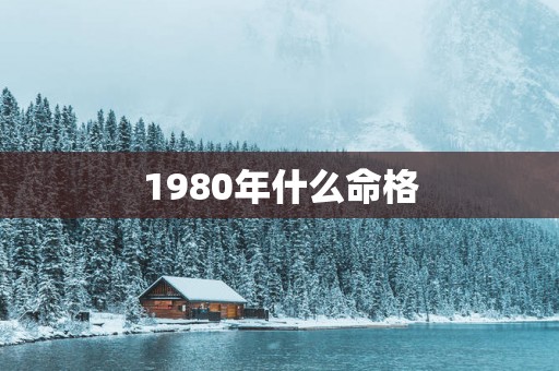 1980年什么命格