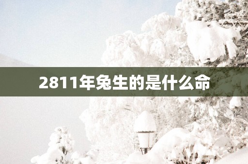 2811年兔生的是什么命