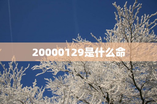 20000129是什么命