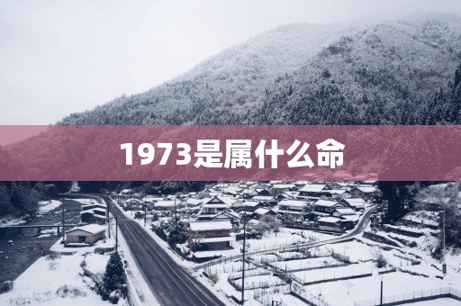 1973是属什么命