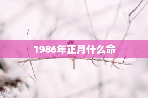 1986年正月什么命
