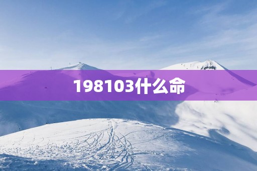 198103什么命