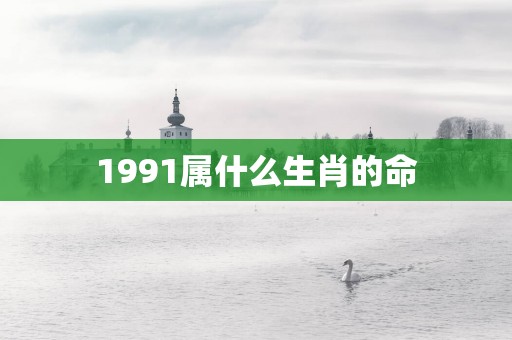 1991属什么生肖的命