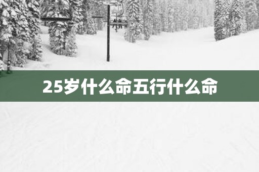 25岁什么命五行什么命