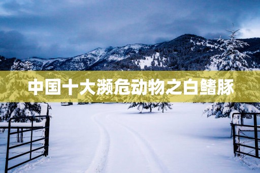 中国十大濒危动物之白鳍豚