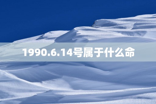 1990.6.14号属于什么命