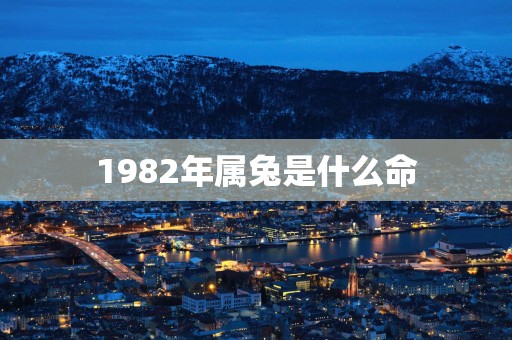 1982年属兔是什么命