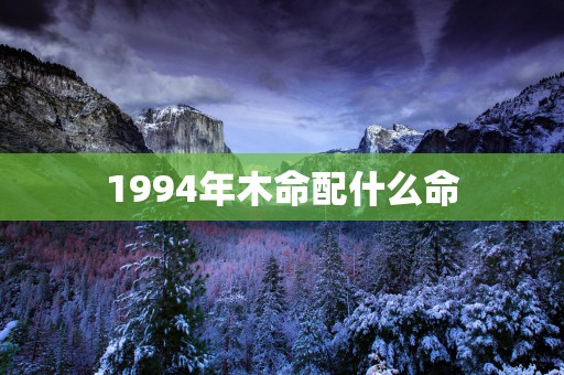 1994年木命配什么命