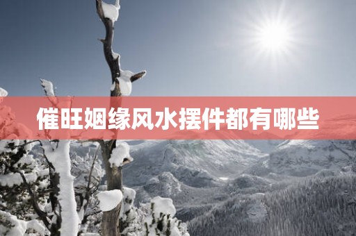 催旺姻缘风水摆件都有哪些