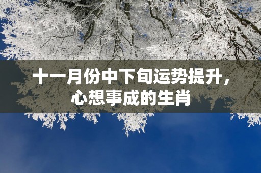 十一月份中下旬运势提升，心想事成的生肖