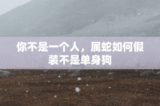 你不是一个人，属蛇如何假装不是单身狗