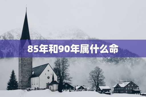 85年和90年属什么命
