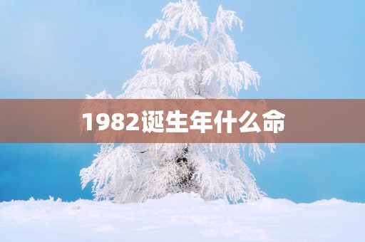 1982诞生年什么命