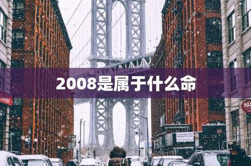2008是属于什么命