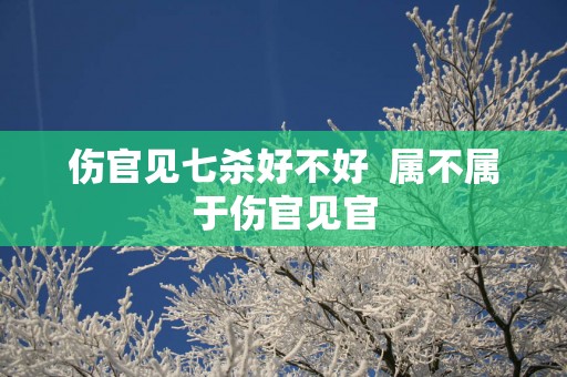 伤官见七杀好不好  属不属于伤官见官