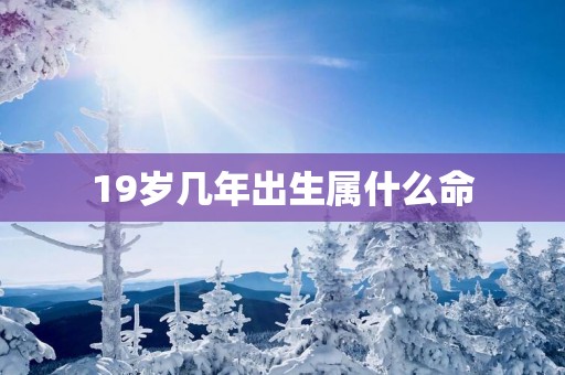 19岁几年出生属什么命