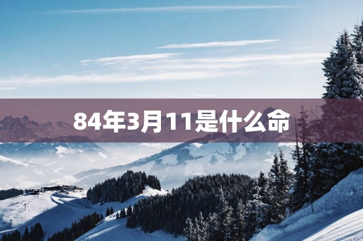 84年3月11是什么命