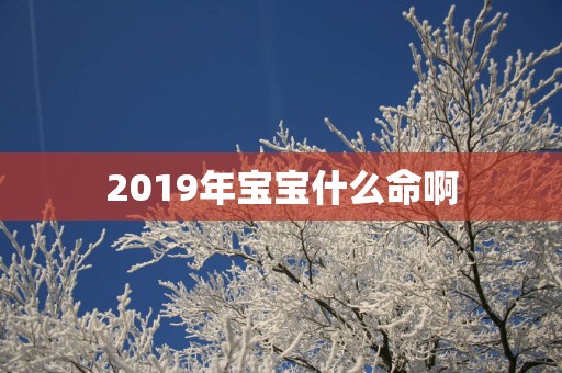 2019年宝宝什么命啊