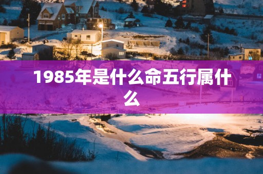 1985年是什么命五行属什么