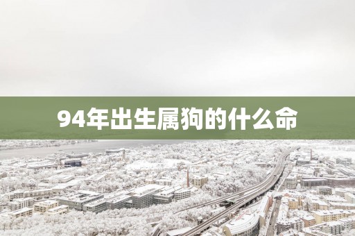 94年出生属狗的什么命
