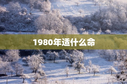 1980年适什么命