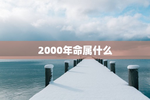 2000年命属什么