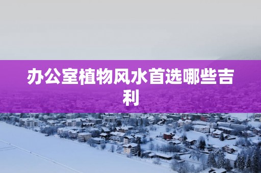 办公室植物风水首选哪些吉利