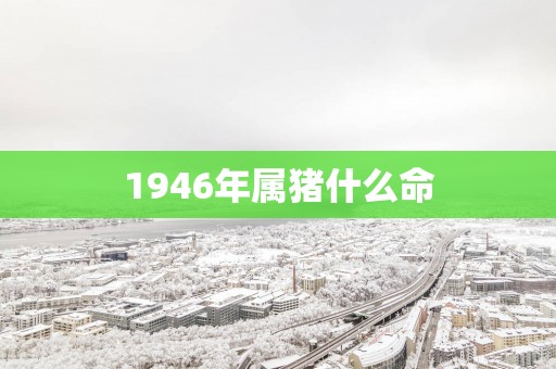 1946年属猪什么命