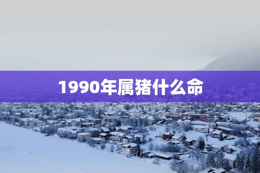 1990年属猪什么命