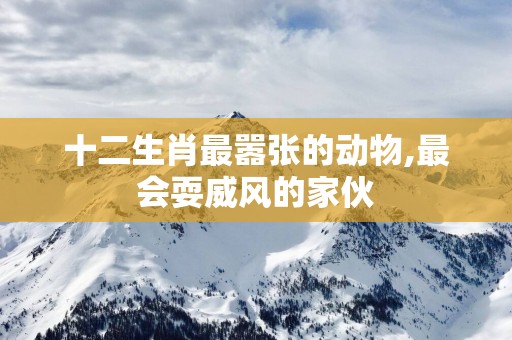 十二生肖最嚣张的动物,最会耍威风的家伙