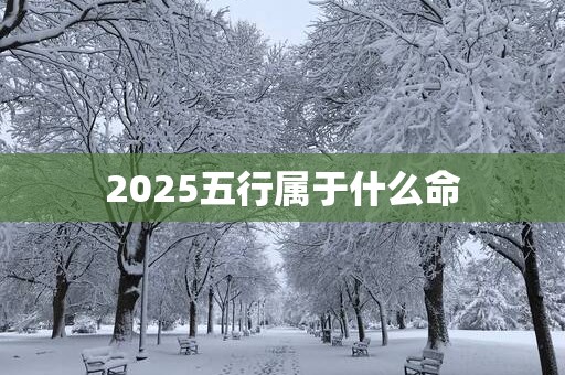 2025五行属于什么命