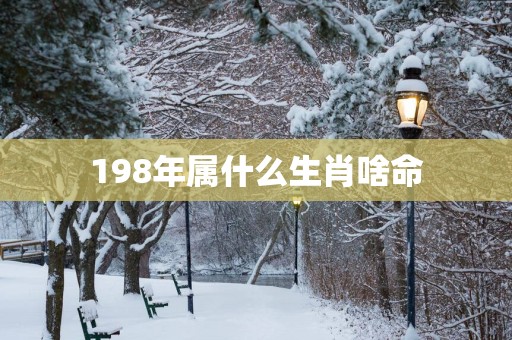 198年属什么生肖啥命